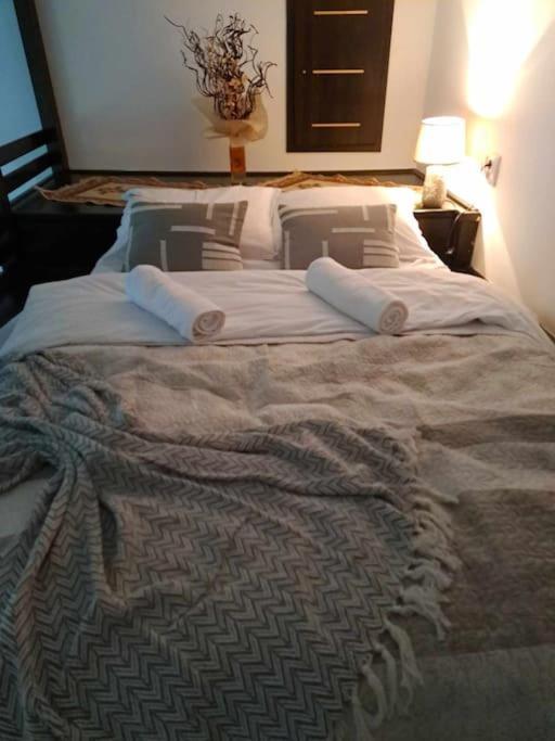 Sofia'S Home Comfy Studio In The Old Town Brasov Ngoại thất bức ảnh