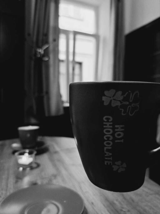 Sofia'S Home Comfy Studio In The Old Town Brasov Ngoại thất bức ảnh