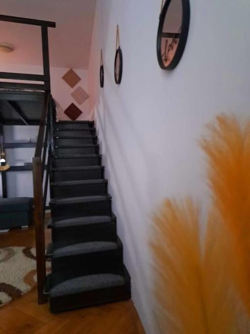 Sofia'S Home Comfy Studio In The Old Town Brasov Ngoại thất bức ảnh