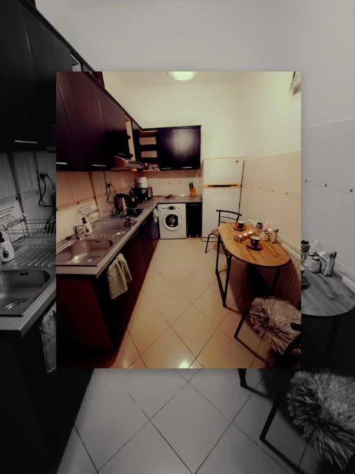 Sofia'S Home Comfy Studio In The Old Town Brasov Ngoại thất bức ảnh
